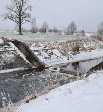 Atlikti Nevėžio ir jo baseino upių renatūralizavimo priemonių įrengimo darbai