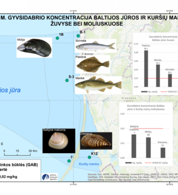 Žuvyse ir moliuskuose buvo tiriamas gyvsidabris