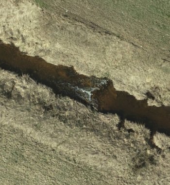 Tęsiami reguliuotų upių renatūralizavimo priemonių efektyvumo tyrimai