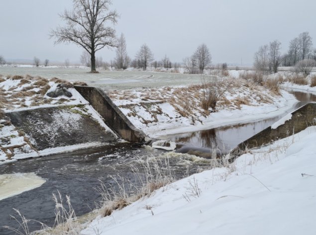 Atlikti Nevėžio ir jo baseino upių renatūralizavimo priemonių įrengimo darbai