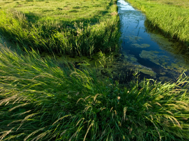 Lielupės upių baseinų srities vandens telkiniai – labiausiai užteršti