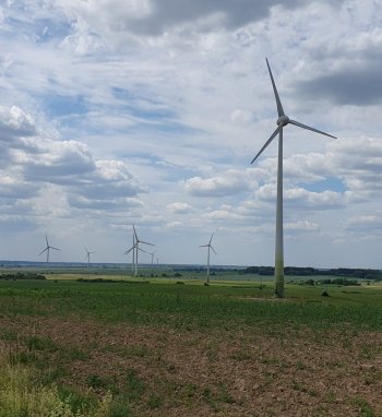 Kaip užtikrinti visuomenės teisę į švarią aplinką?
