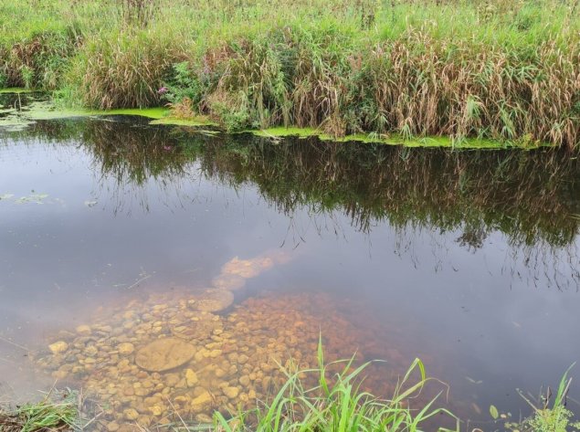Upių ir upelių gaivinimas: ką siūlo specialistai?