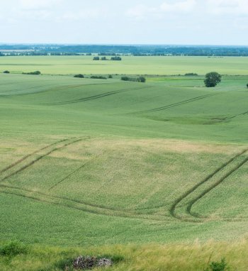 Arimai ar pievos. Kas geriau švelninant klimato kaitą?