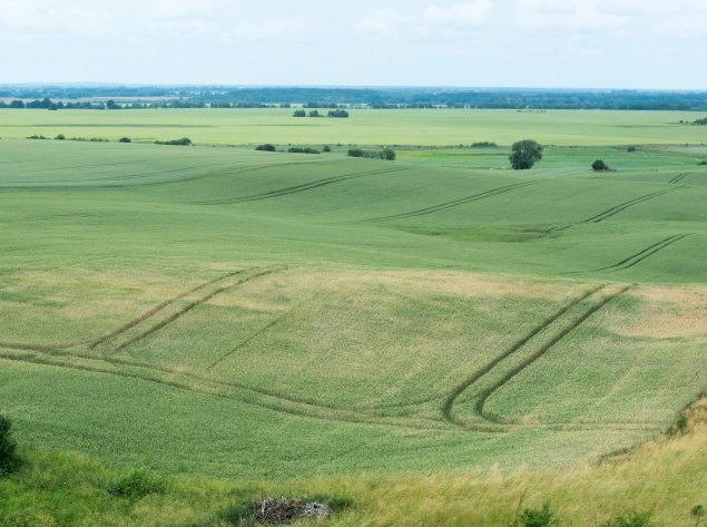 Arimai ar pievos. Kas geriau švelninant klimato kaitą?