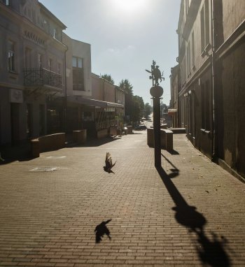 Pristatytas 2024 m. Lietuvos savivaldybių aplinkosaugos reitingas