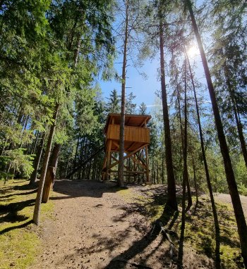 Suvalkijos miškų lobiai: kokius objektus verta aplankyti ir pamatyti?