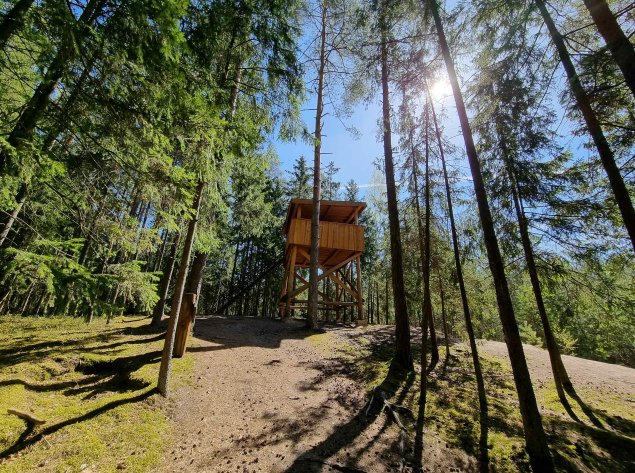 Suvalkijos miškų lobiai: kokius objektus verta aplankyti ir pamatyti?