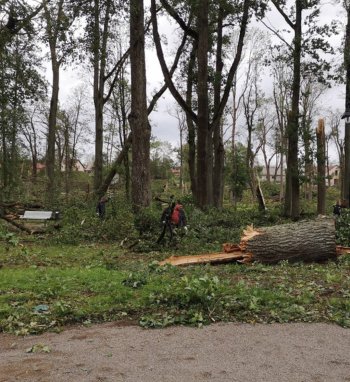 Klimato kaita Lietuvoje: 2024-ieji buvo šilčiausi orų stebėjimo istorijoje, užfiksuoti 2...