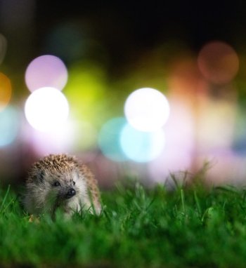 Europos aplinkos agentūra kviečia dalyvauti fotografijos konkurse