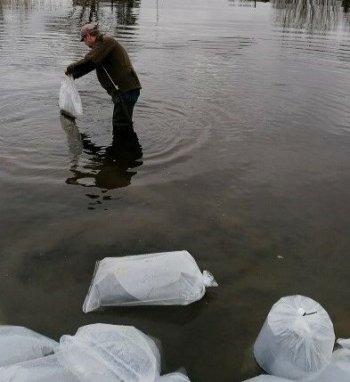 Pradėti šiųmetiniai Lietuvos vandens telkinių įžuvinimo darbai: pirmosios ežeruose ir upėse...