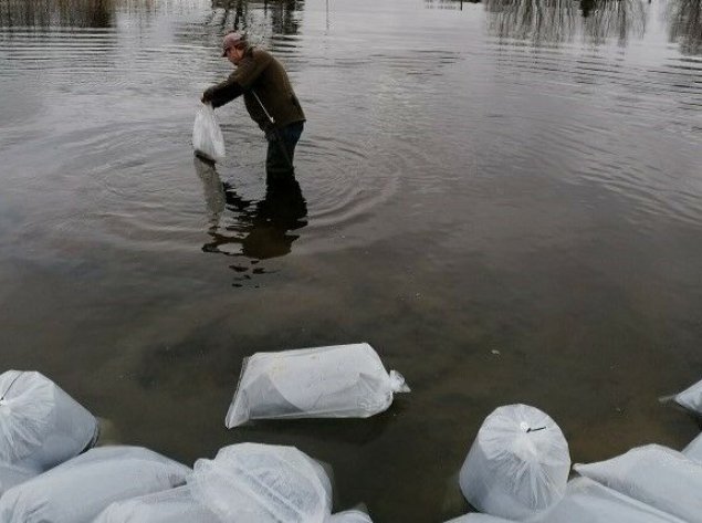 Pradėti šiųmetiniai Lietuvos vandens telkinių įžuvinimo darbai: pirmosios ežeruose ir upėse...