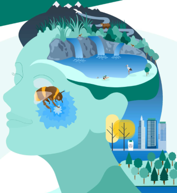 Europos aplinkos agentūra: Lietuva tampa tvirta žaliosios transformacijos proceso dalyve