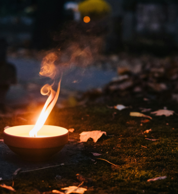 Aplinkosaugininkai kviečia gyventojus per Vėlines tausoti aplinką