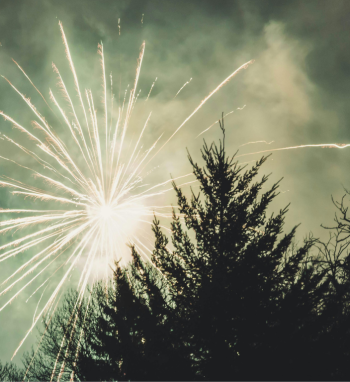 Fejerverkai Naujųjų metų naktį: kodėl verta atsisakyti